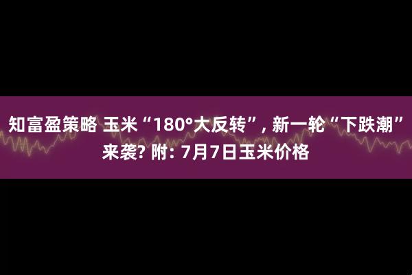 知富盈策略 玉米“180°大反转”, 新一轮“下跌潮”来袭? 附: 7月7日玉米价格