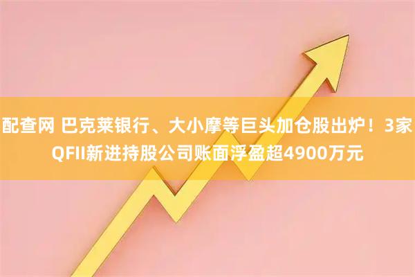 配查网 巴克莱银行、大小摩等巨头加仓股出炉！3家QFII新进持股公司账面浮盈超4900万元