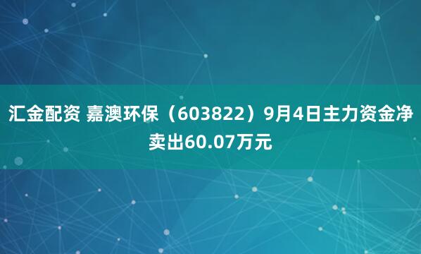 汇金配资 嘉澳环保(603822)9月4日主力资金净卖出60.07万元